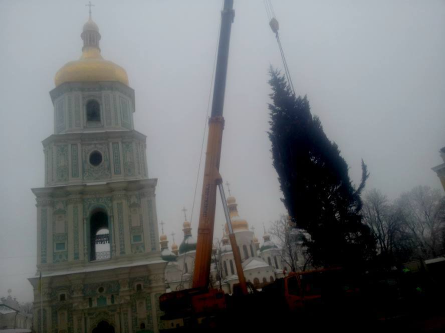 В Киеве начали устанавливать новогоднюю елку: опубликованы фото
