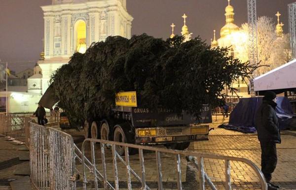 В Киеве начали устанавливать новогоднюю елку: опубликованы фото 