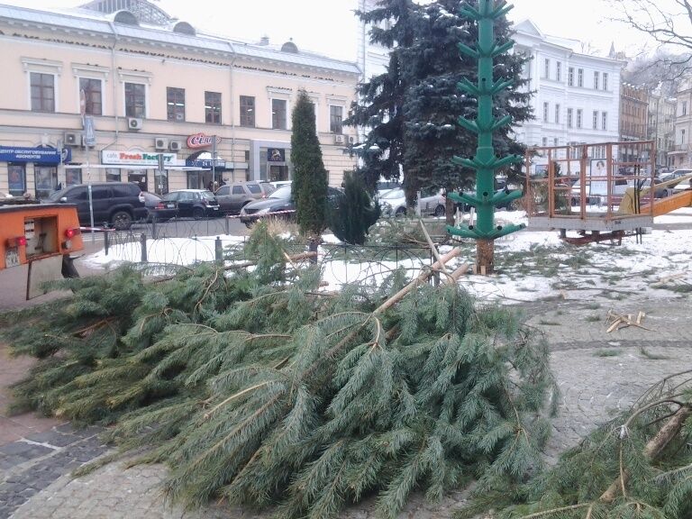 В Киеве установили еще одну новогоднюю елку: опубликованы фото