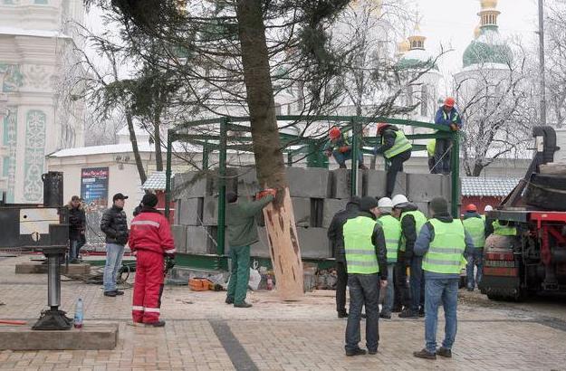 В Киеве начали устанавливать новогоднюю елку: опубликованы фото 