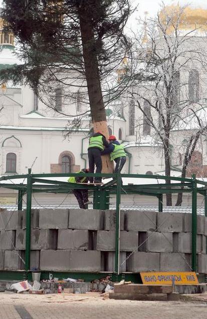 В Киеве начали устанавливать новогоднюю елку: опубликованы фото 