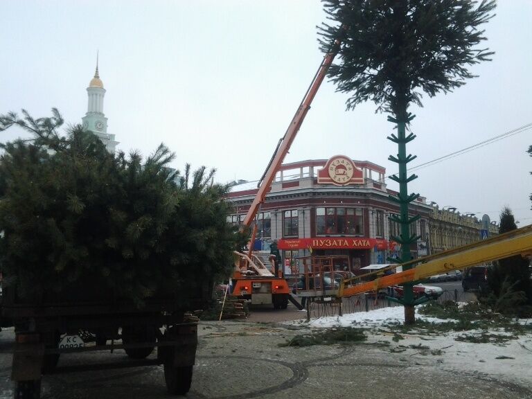 В Киеве установили еще одну новогоднюю елку: опубликованы фото