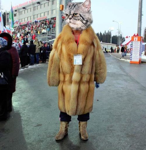 Мужская мода, как не надо одеваться зимой 