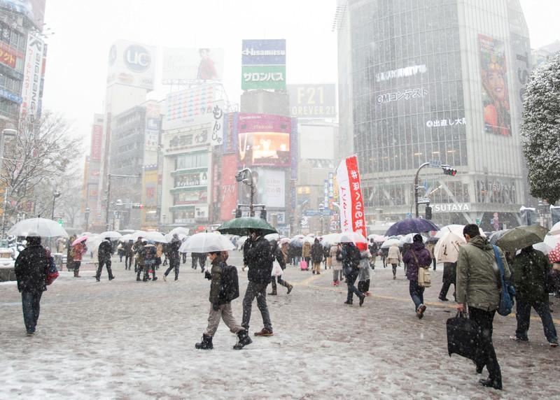 В Японии из-за снегопадов погибли уже 11 человек