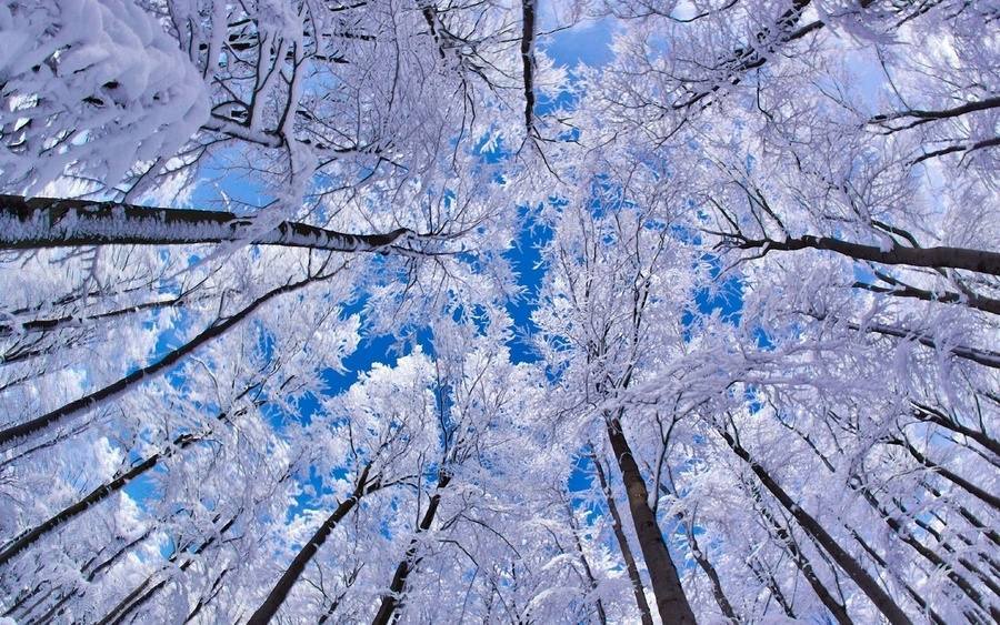 15 зимових пейзажі, в існування яких важко повірити
