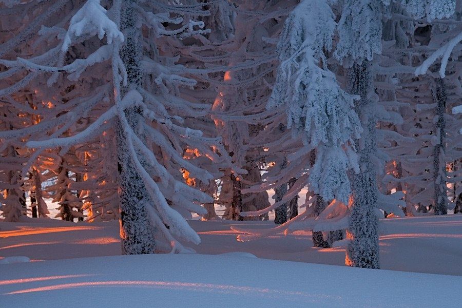 15 зимних пейзаже, в существование которых трудно поверить