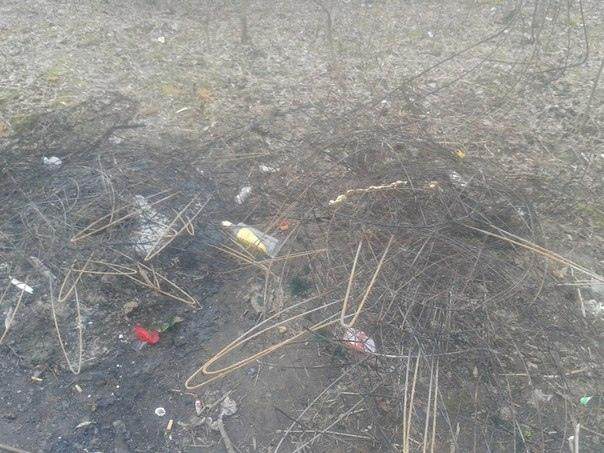 На Київщині вандали спалили вінки на могилі активіста Небесної Сотні