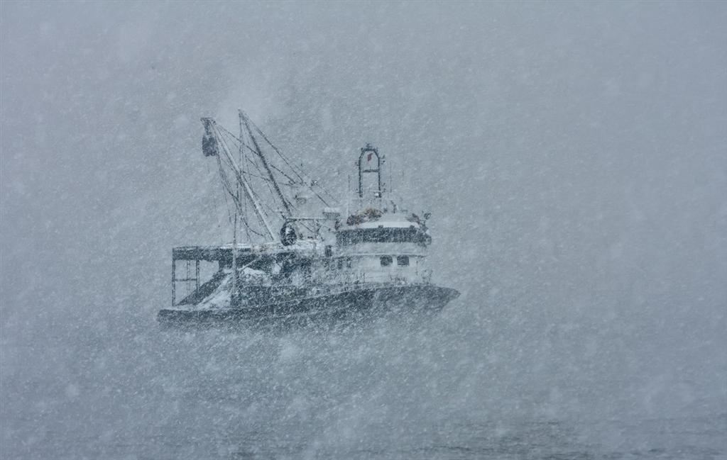 Самые яркие фото дня