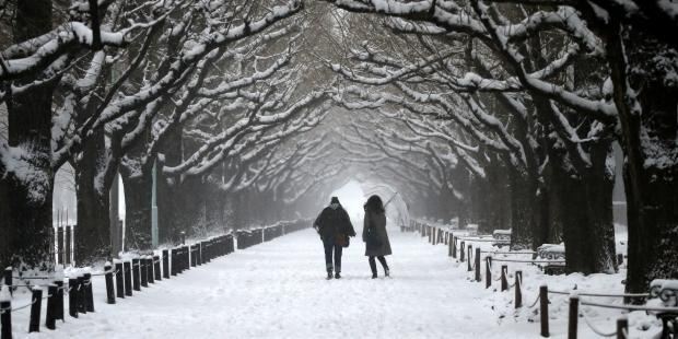 В Японии почти сто человек пострадали из-за снегопада