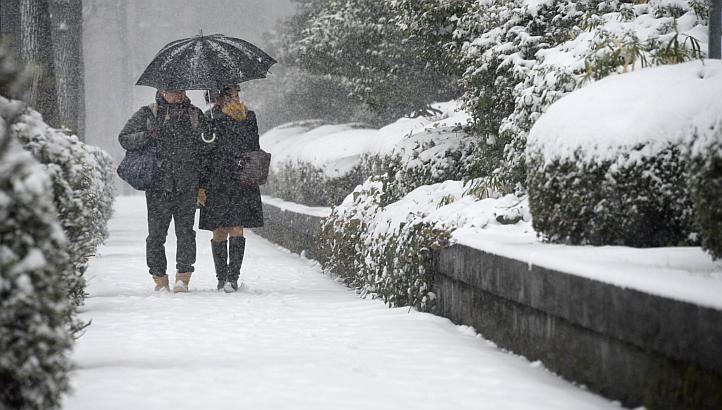 Токио засыпало снегом: отменены 300 авиарейсов