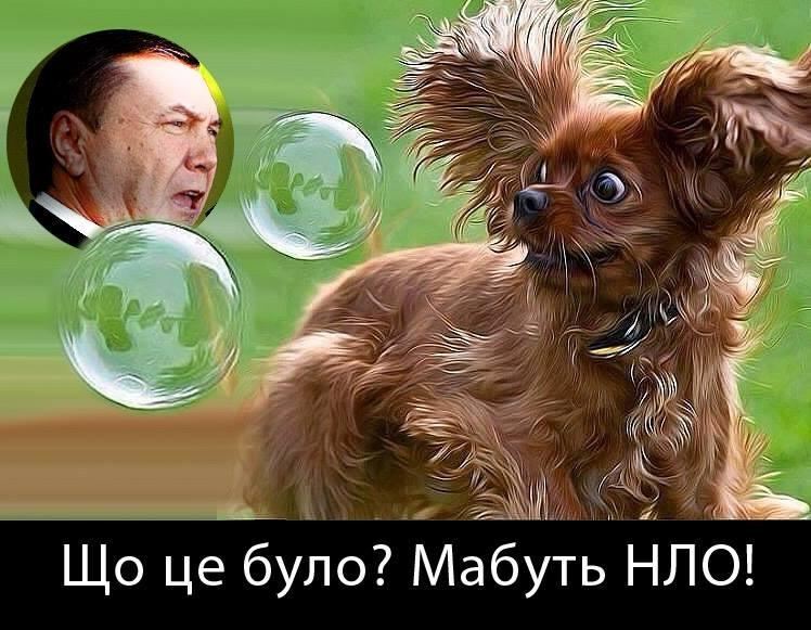 Как в Facebook встретили выступление Януковича: подборка цитат и фотожаб