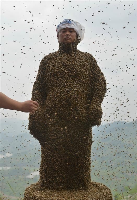 460000000 бджіл на тілі бджоляра