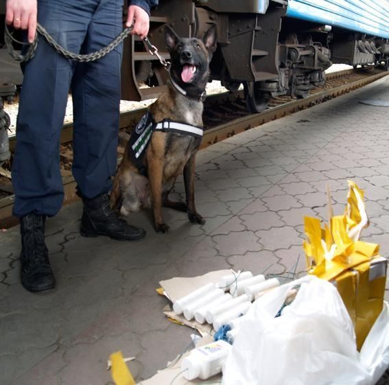 У Харкові затримали чотирьох чоловіків з саморобною вибухівкою