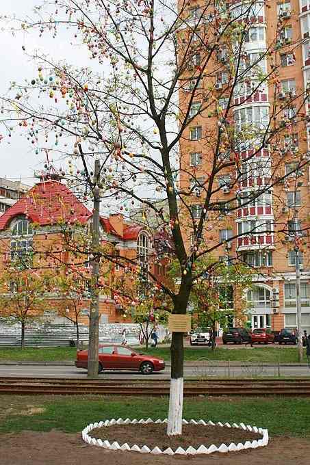 В Киеве украсили дерево двумя тысячами писанок