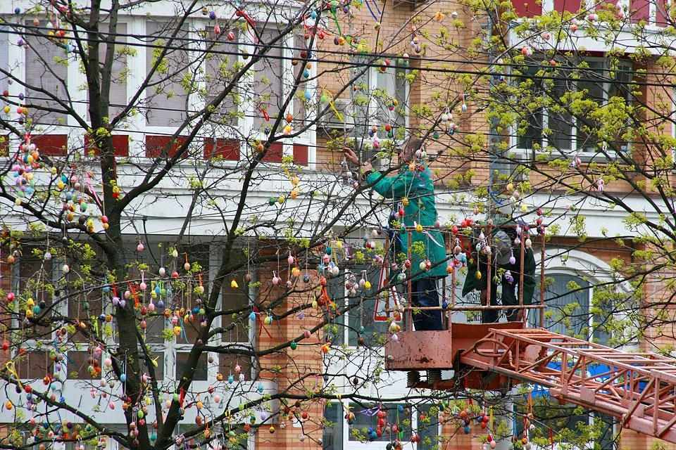 В Киеве украсили дерево двумя тысячами писанок