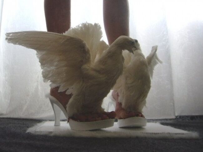 Самые смешные свадебные фотографии