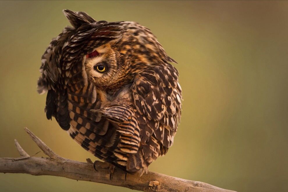 Фотоконкурс від журналу National Geographic Traveler 2014