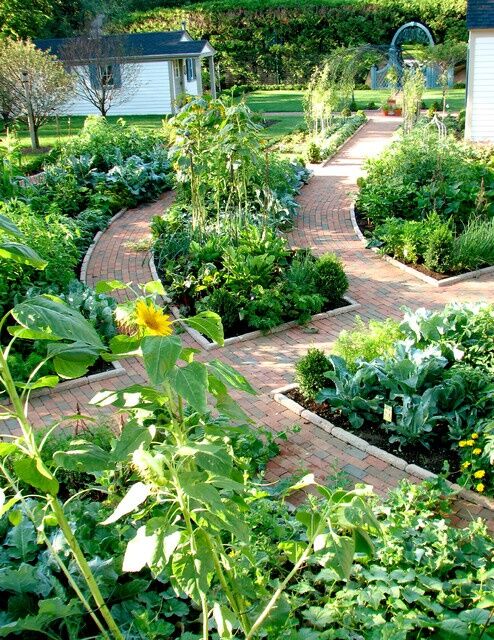  14 ландшафтных эко-идей для вашего дома и сада