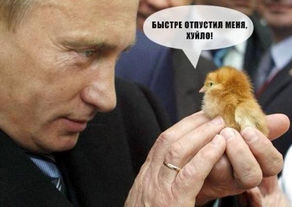 Соцсети взорвали фотожабы на тему "Путин – ху*ло"