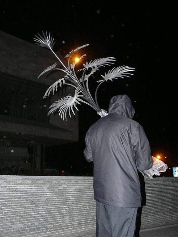 Сепаратисти вкрали символ Донецької області - пальму Мерцалова