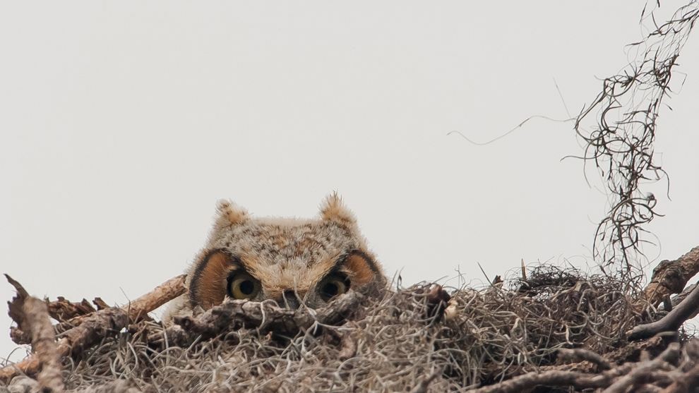 Фотоконкурс National Geographic Traveler 2014