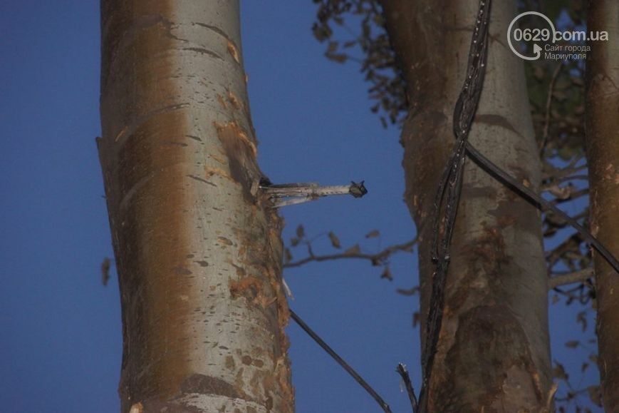У Маріуполі в дереві біля будівлі ГУВС знайшли розірвалися гранату