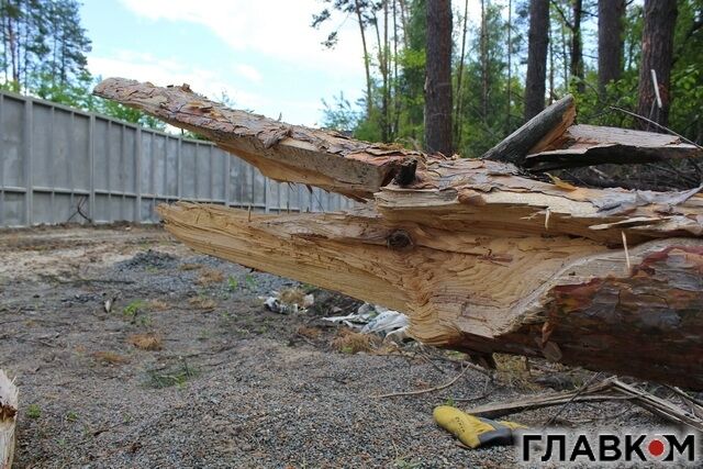 Арбузов собирался надолго "осесть" в Киеве. Фотофакт