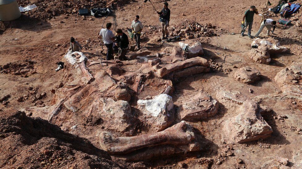 Найдены кости гигантского динозавра, который весил как 14 слонов