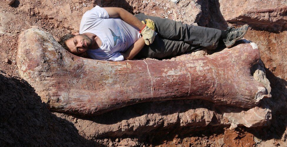 Найдены кости гигантского динозавра, который весил как 14 слонов