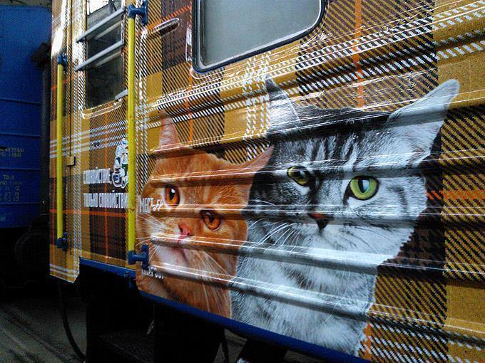 Львовяне на поезде привезут в Одессу "общие ценности"