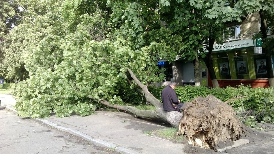 В Киеве ураган сносил деревья и столбы 