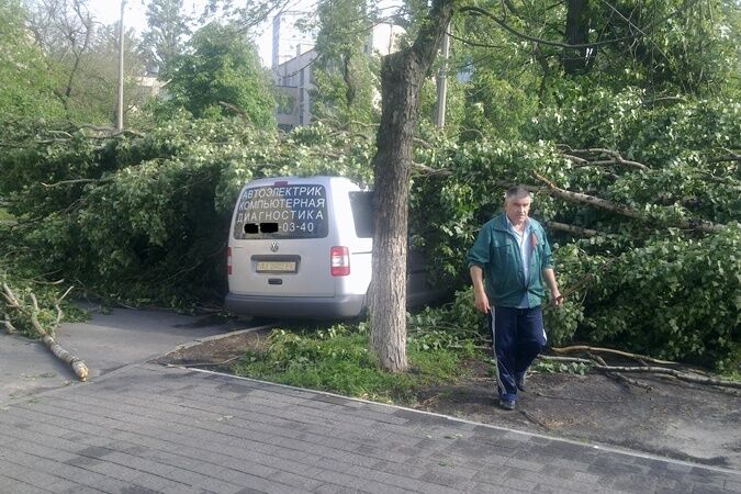 В Киеве из-за бури повалены деревья, разбиты несколько авто