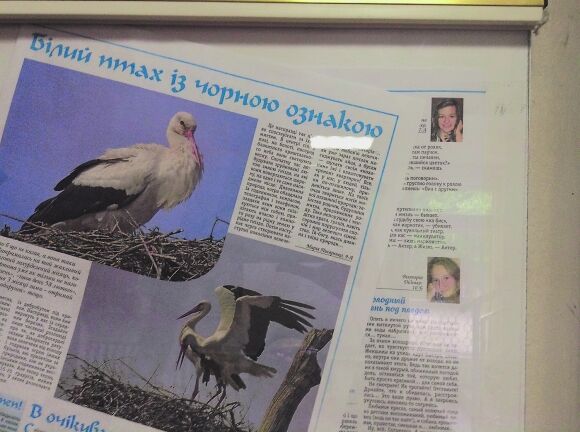 Дочки-двойняшки Порошенко учатся в одном из лучших колледжей мира