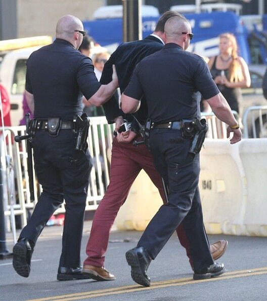 Задержание украинского журналиста, напавшего на Брэда Питта. Много фото