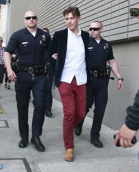 Задержание украинского журналиста, напавшего на Брэда Питта. Много фото