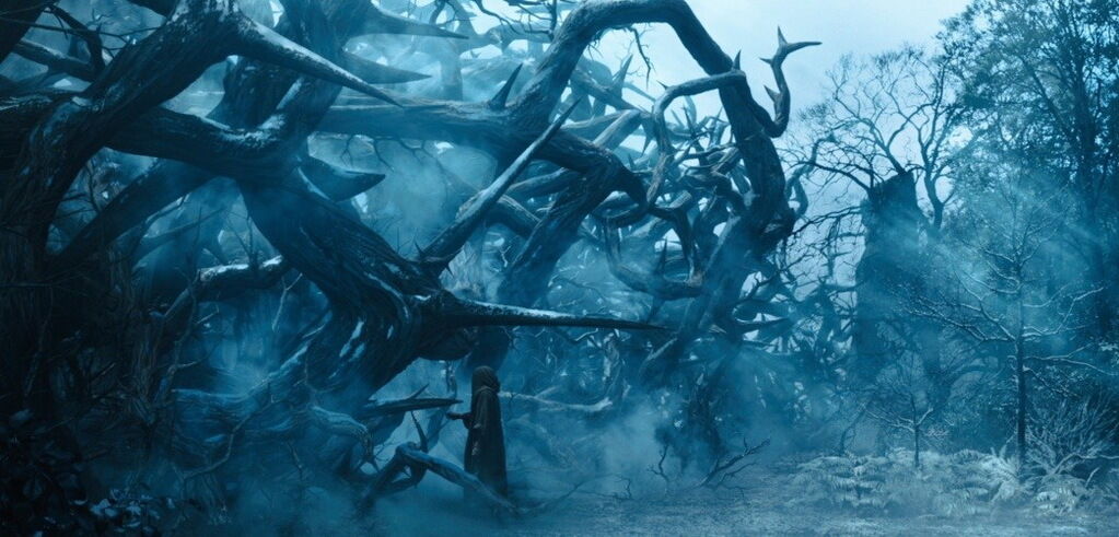 Даже рядом с Джоли - козлы