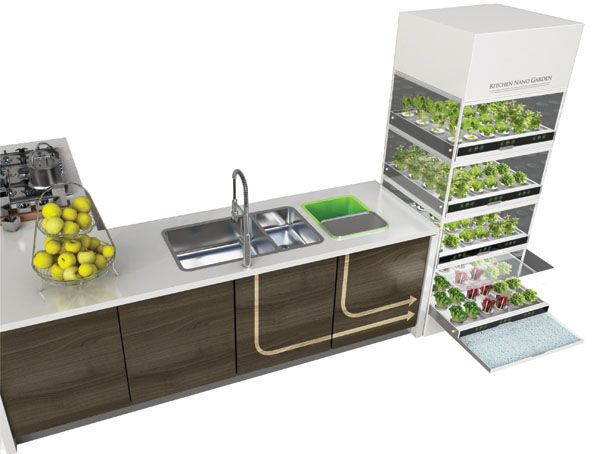 Огород с овощами и зеленью можно встроить прямо в кухню