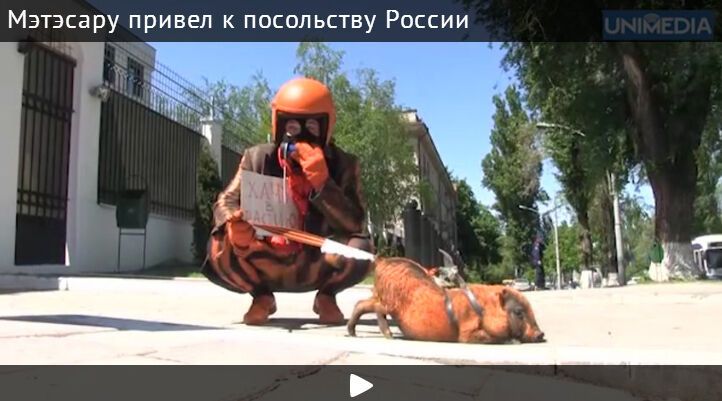 К посольству РФ в Молдове привели "колорадскую свинью". Фотофакт
