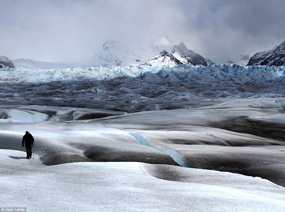 Лучшие фотографии, снятые на iPhone в 2014 году