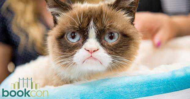 Жители Нью-Йорка полдня стояли в очереди ради фото с Grumpy Cat
