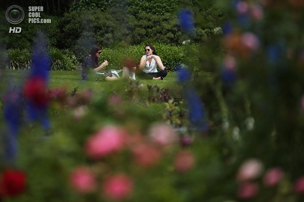 На пороге самого жаркого лета в истории