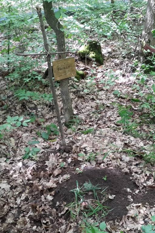 Селезньов: на трасі Ізюм-Слов'янськ виявлені поховання бойовиків