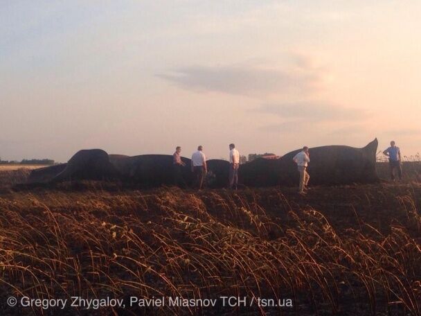 Після вибуху газопроводу на Полтавщині земля перетворилася на скло