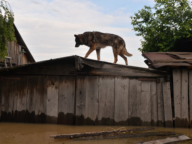 В Сибири затоплены четыре региона, где находятся более 21 тысячи человек