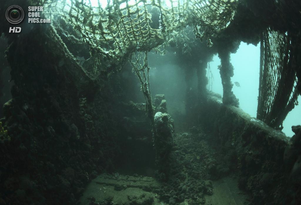 Путешествие к останкам судна "Барон Гауч"