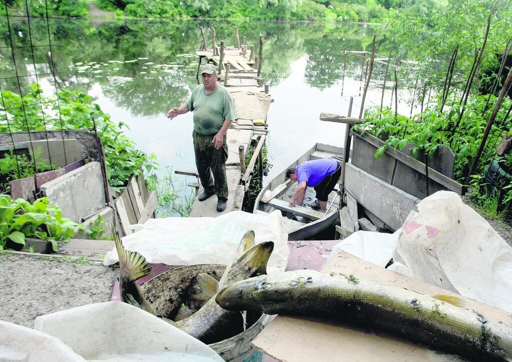 В киевской реке погибло более миллиона рыб
