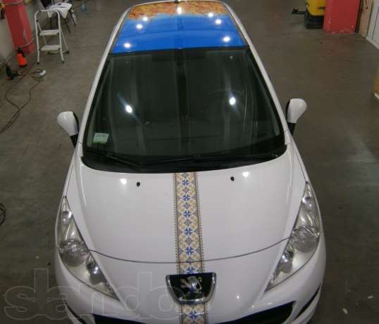 Украинцы одевают в вышиванки собак, авто и мобильные телефоны