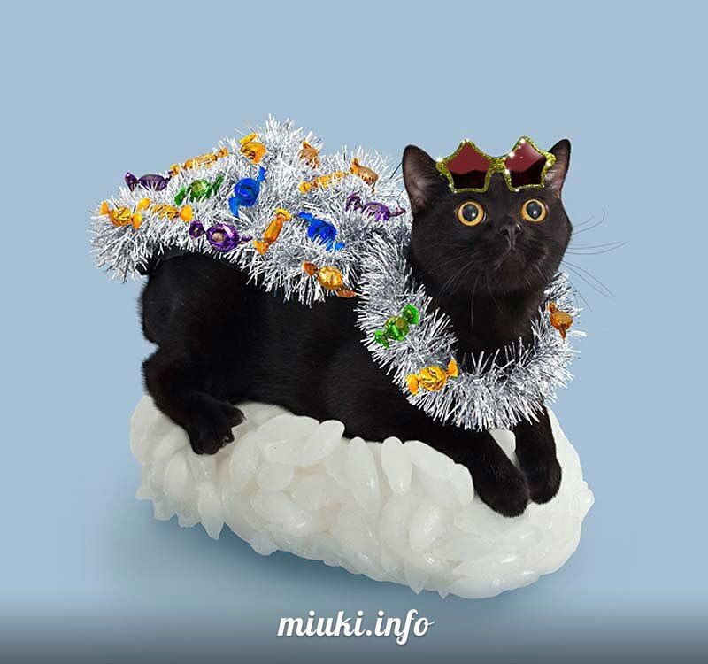 Котосуши покорили Японию