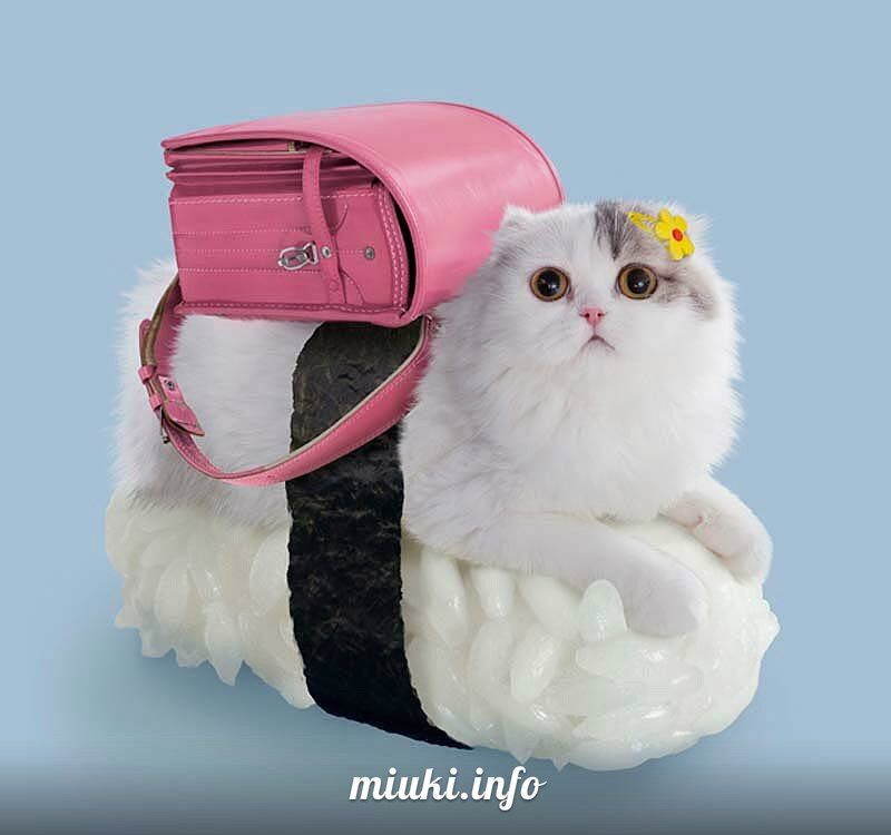 Котосуши покорили Японию
