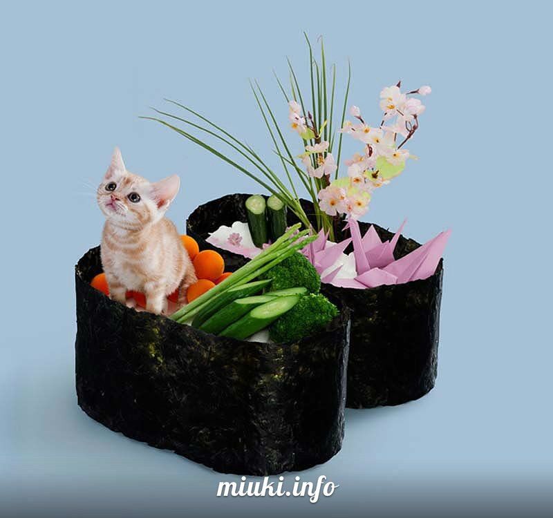 Котосуши покорили Японию